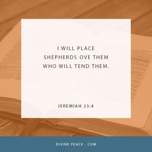 Jeremiah 23 4