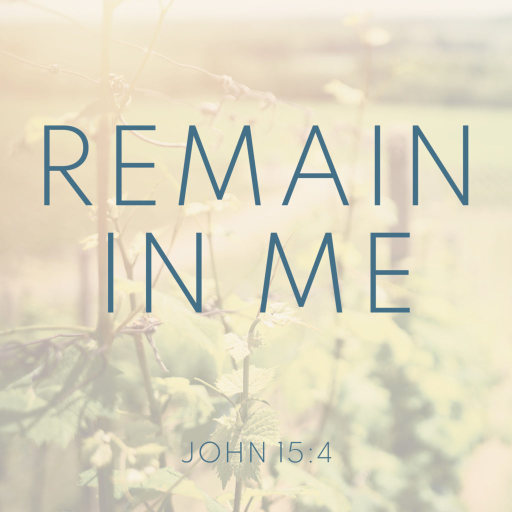 Remain in me, the true vine! - Divine Peace Church