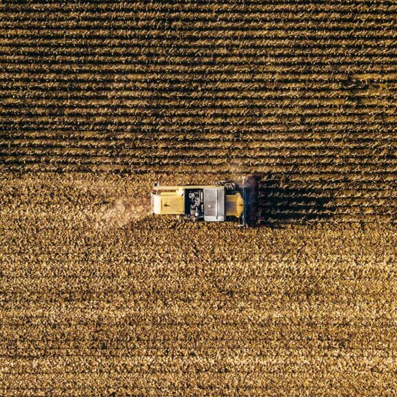 countryside-harvest